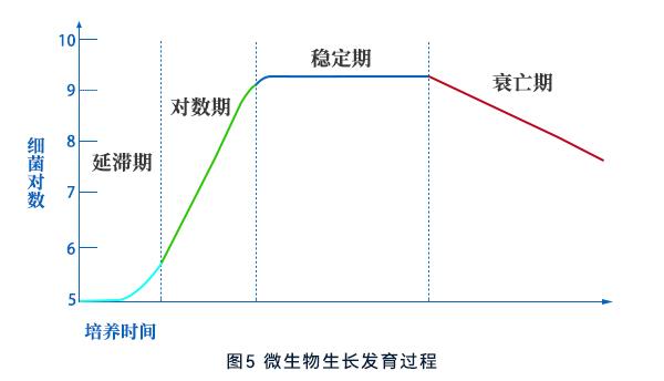 ΢
